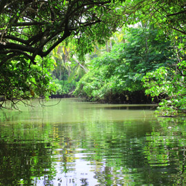 Varkala